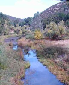 The Salinas River at Las Pilitas Rd. The riparian area is all within the photo. - grid24_6