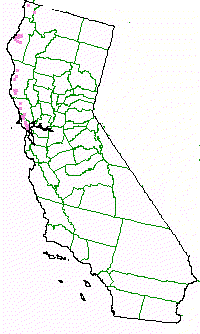 An approximate range of the Northern Coastal Scrub plant community - grid24_6