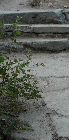 broken concrete path and steps - grid24_6