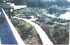 An old picture of the Kern Water agency planting. - grid24_6