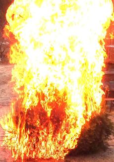 Light the Christmas Tree. People are terrified of 'brush' but they put highly flammable things in or around their house. - grid24_6