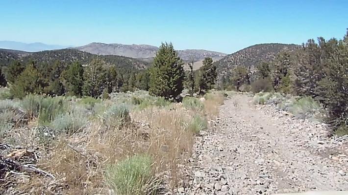 A back road through Pinyon Juniper Woodland