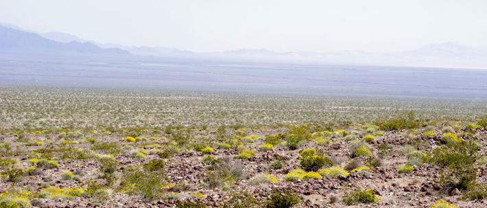 Looking across the desert halfway between Barstow and Baker. - grid24_24