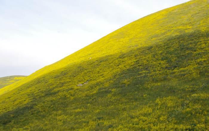 Going over the Temblors on Hwy 58 can be very showy