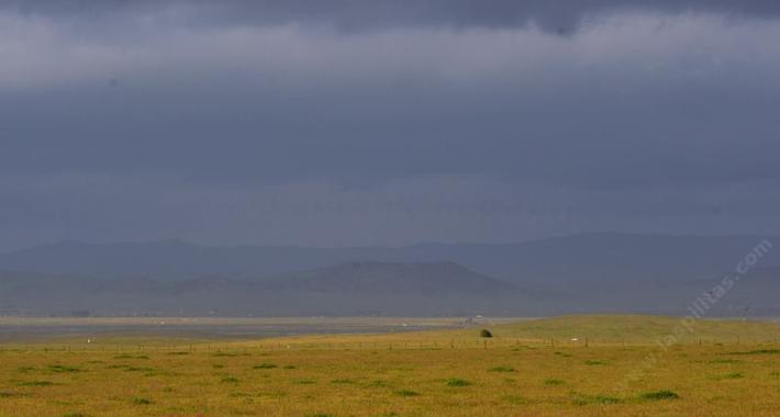 The Carrizo Plain in spring. - grid24_24