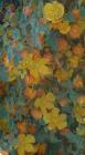 drought tolerant plants for California