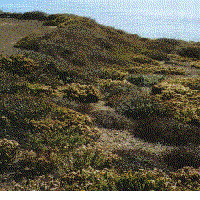 These pictures were digital state of the art in 1995, clean native bluff, no, but close.