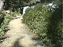 The same native garden can have wild sections.