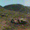 An overgrazed cow pasture.