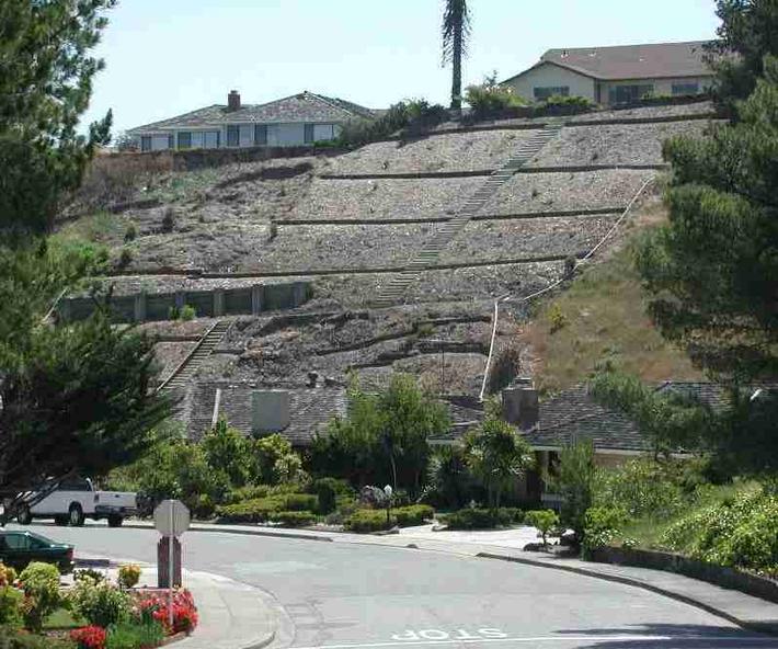 A real slope garden. On hillside plantings make steps!