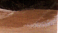 A large mound of road base, make it a native site.