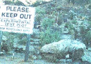 This picture is why we moved from a camera to digital, sorry about the quality.