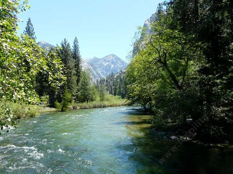 The riparian area of the Kings River extends a few meters up the bank. If you dig a 1-3 meter deep hole and find no moister, it's probably not riparian. - grid24_12