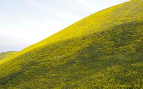 Going over the Temblors on Hwy 58 can be very showy - grid24_12