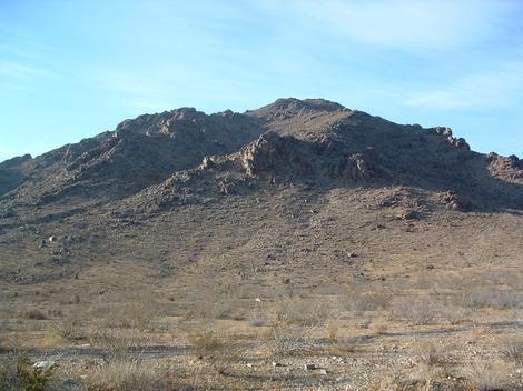 Creosote scrubland in summer on a dry year. Parts of California get almost no rainfall, but still come alive once a year for a few months.. - grid24_12