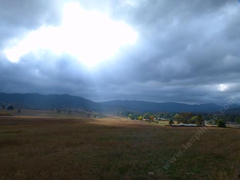 The little town of Santa Margarita, not Rancho Santa Margarita.  We grow native plants in the country.  - grid24_12