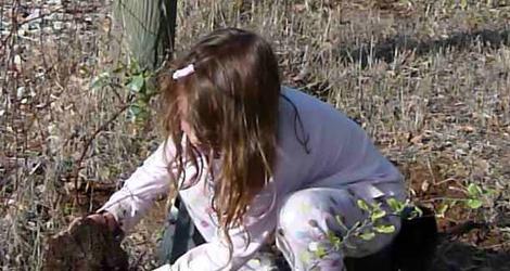 Even the garden gnomes can help plant. When to plant doesn't matter in coastal California. What to plant is another mater. Plant native plants. - grid24_12