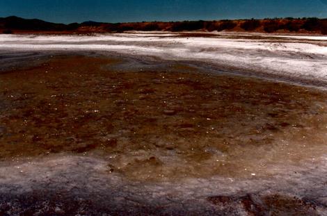 Alkali sink after a rain. - grid24_12