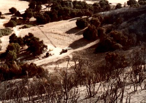 Las Pilitas Nursery after the 1979 fire before we got the first water tank up. - grid24_12