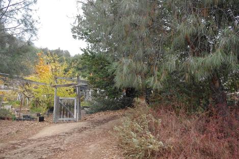 Here is what the 1984 grading looked like 27 years later. The nursery has gradually filled with tress, shrubs and wildlife.  - grid24_12