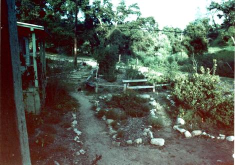 The front of the main nursery house in 1985. - grid24_12