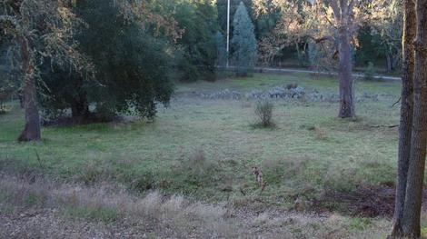 Looking down at a section of one of our fields in December 2011. - grid24_12