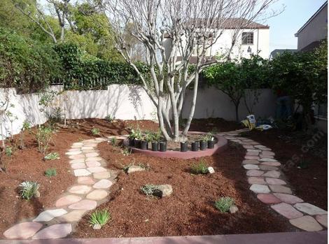 Redone into native plants by the 25 year old home owner. Yes she did it by herself. - grid24_12