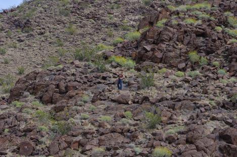 Penny exploring with a camera east of Barstow. - grid24_12