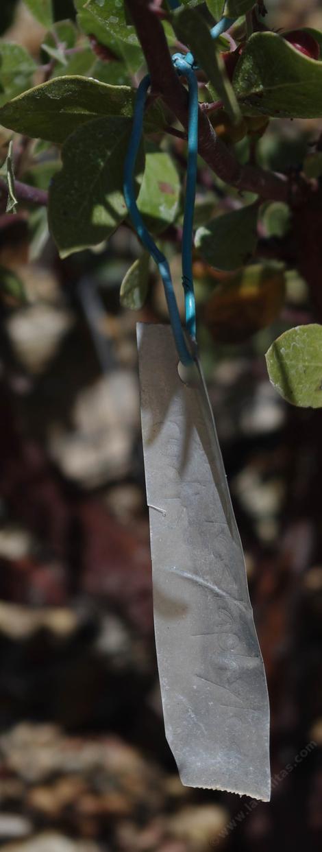 Here's a soda can label put on a manzanita. Notice how loose the wire is. - grid24_12