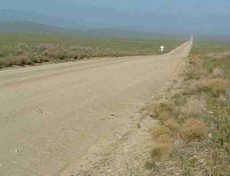 Carrizo Plains in spring. - grid24_12