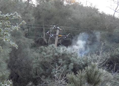 The wires were in the tree causing brown outs all night. Notice the cross bar is also broken. - grid24_12