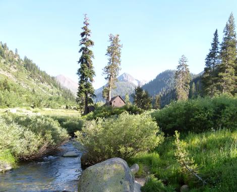 A creek running through a meadow in the Southern Sierras. - grid24_12