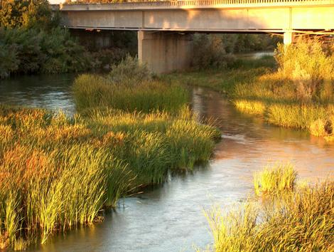 The Salinas River with Tules - grid24_12