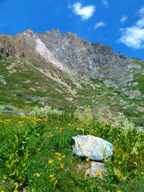 This is an area of the Sierras just below 9000 ft. that you have to ask, is it a meadow or Alpine Fell Field? - grid24_12