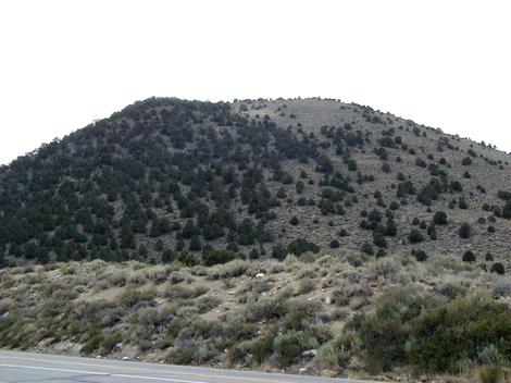 Where the Great basin and Northern Juniper Woodland come together. - grid24_12