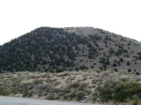 Where the Great basin and Northern Juniper Woodland come together. - grid24_12