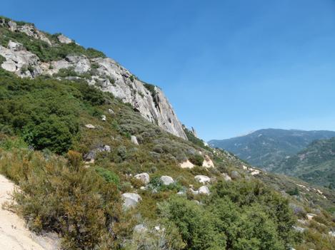 Chaparral in the Southern Sierras. - grid24_12