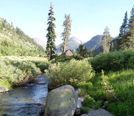 The top of Kaweah River. Riparian plant communities can be only a few feet wide in the upper Sierras. - grid24_12