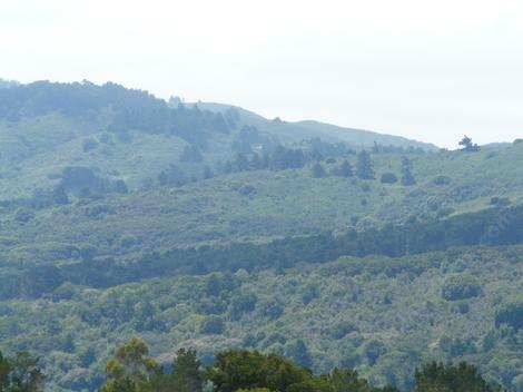 looking west from  San Bruno - grid24_12