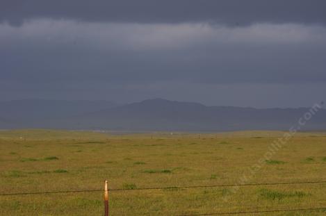 This section of Carrizo Plains was dry farmed in wheat for decades.  Not much left but Bromus. - grid24_12