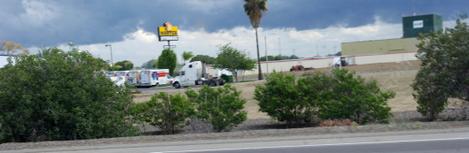 It is startling when you actually see some native plants like Coffeeberry and Sugar Bush planted along a freeway in Lemoore. - grid24_12