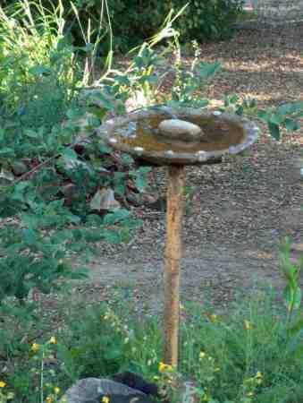 One of our birdbaths. This birdbath was made out of concrete and on a metal post. The trick is how you put it on the post.  In our weather it doesn't matter how you make one, the bird bath seems to  crack when the bath freezes solid. It's crack everything from ceramic to metal, plastic fails in our sun. - grid24_12