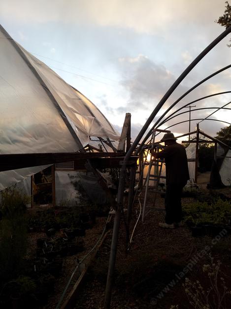 Setting up a greenhouse during another beautiful sunset. - grid24_12