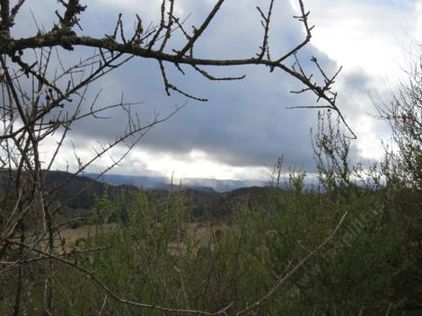 Chaparral in the foreground as clouds approach the nursery.  A very economical wood frame. - grid24_12