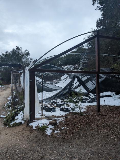 Our shade house collapsed under the snow. - grid24_12