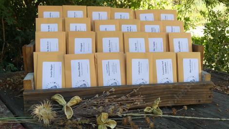 Buy seed packets online: Baileya, Clarkia, Eschscholzia and more! - grid24_12