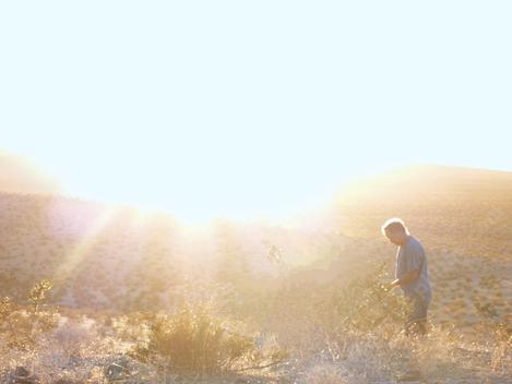 Bert looking at plants in the desert. - grid24_12