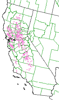 An approximate range of Central Oak woodland, sometimes called foothill woodland, even if it is commonly on flat ground. - grid24_12