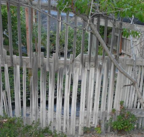 lath fence - grid24_12