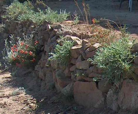 Dry stack rock wall with California  native plants - grid24_12